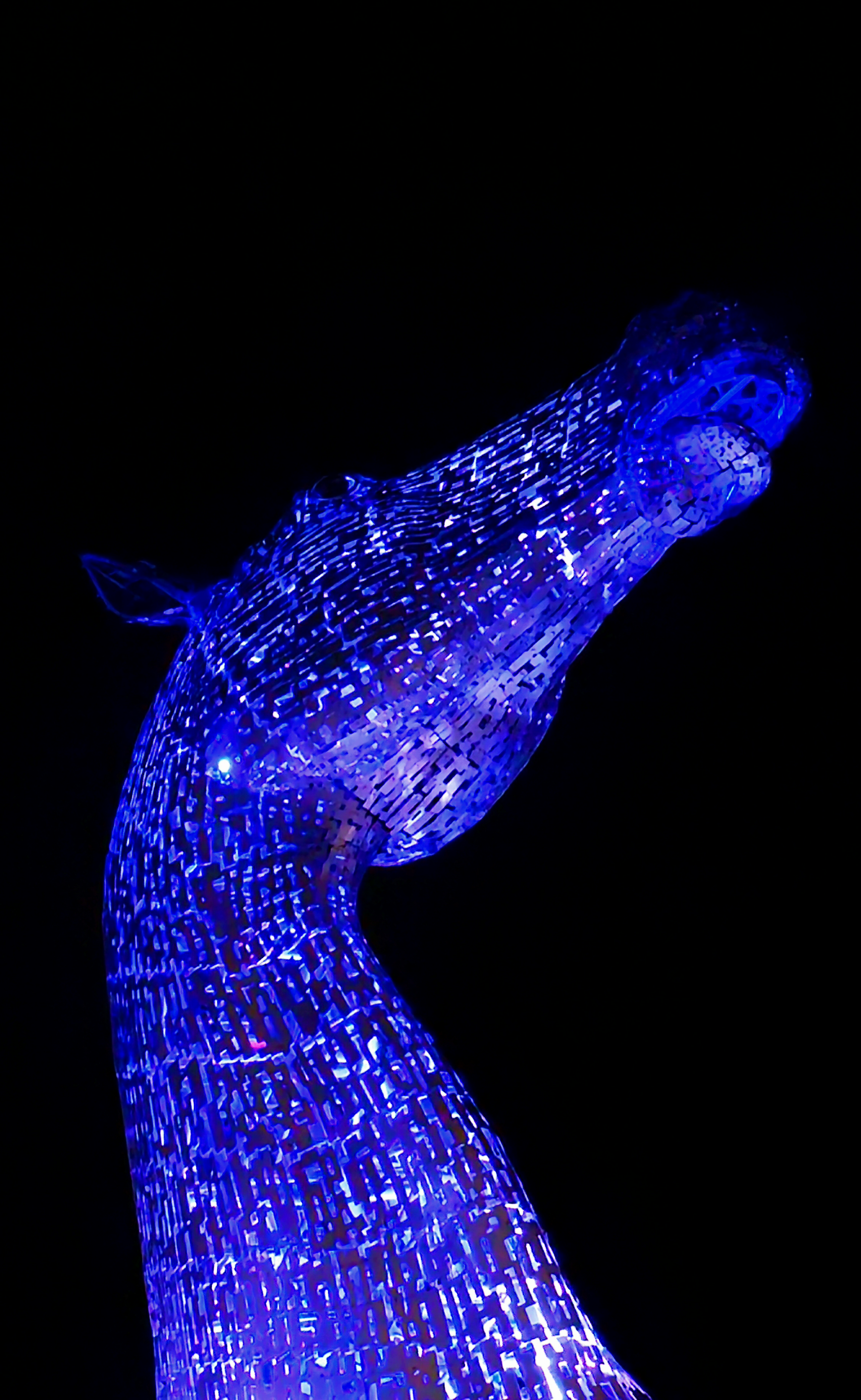 Kelpies Night