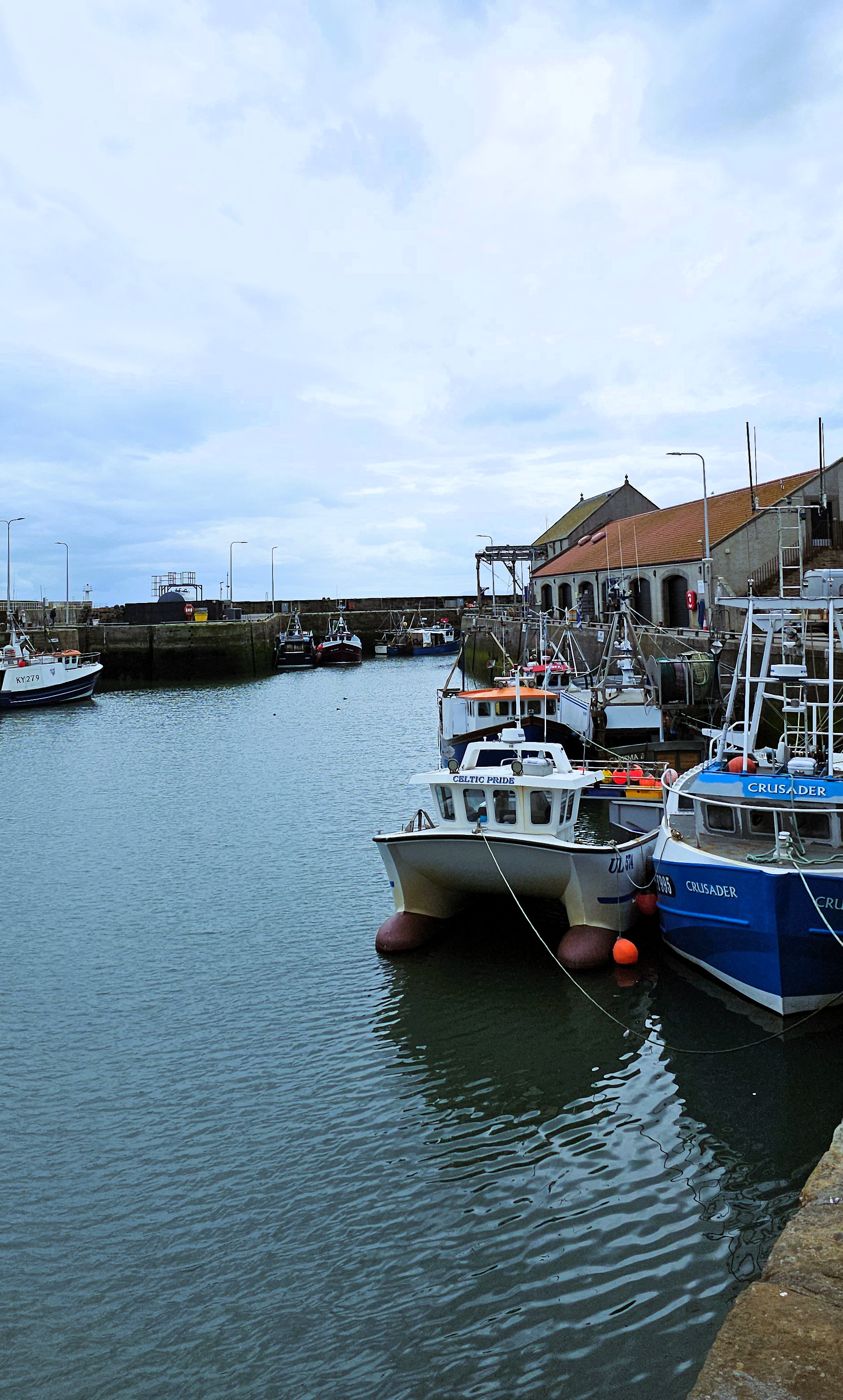 Pittenweem 2